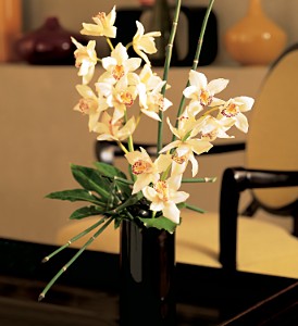 Exotic orchid