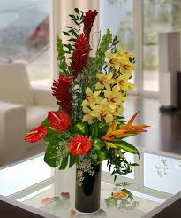 exotic orchids