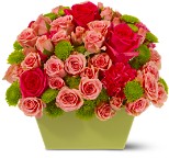 Exquisite Flora coupe