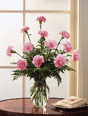 flora T12-01