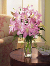 flora T12-02