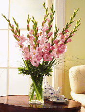 flora T12-03