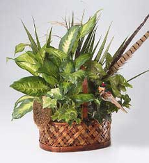Foliage Basket Garden