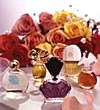 Fragrance and Flowers