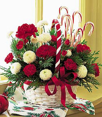 FTD  CHRISTMAS  FLOWERS