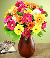 Gerbera Fetish 