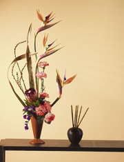IKEBANA Japanise design Tropical with Birds of Paradise