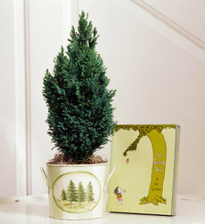 Mini Tree