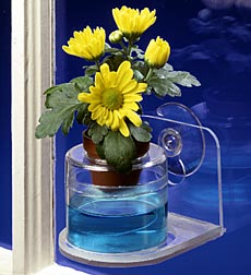 Mini Window Planter
