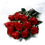 One Dozen Boxed Roses