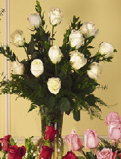 One dozen long stem white roses