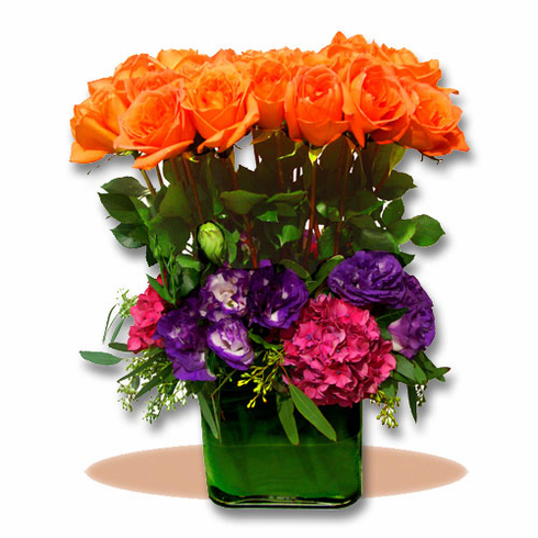 Orange Rose Garden W. Hydrengea