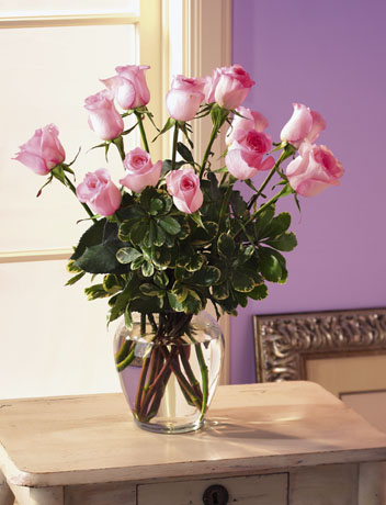  Pink Roses
