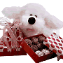 Puppy Hugs and Sweets
