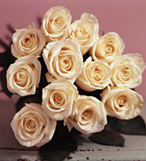 Rose of the Month  <b>January