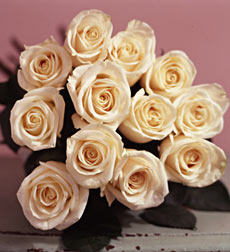 Rose of the Month  <b>January