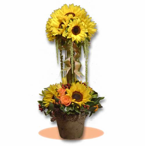sunflower fetish topiary 