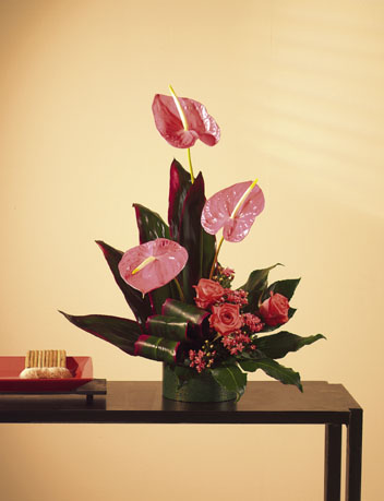 T035-02 Tropical with Anthurium