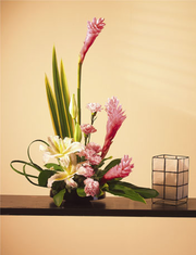 T035-03 Tropical with Ginger