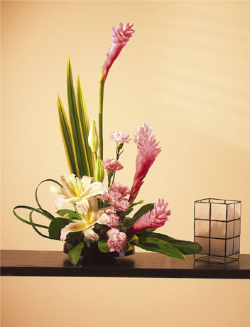 T035-03 Tropical with Ginger