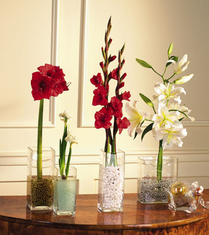 T075-01 Vase Arrangements
