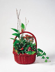 T080-04 Red Basket Garden