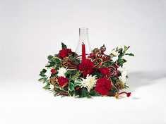 T082-02 Red and White Hurricane