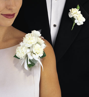 T089-04 Carnation Mini Boutonniere