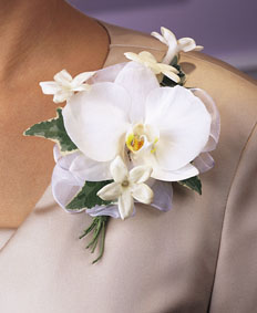 T090-02 Phalaenopsis & Stephanotis Corsage