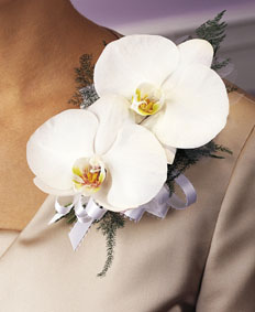 T090-03 Double Phalaenopsis Corsage