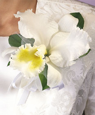T090-07 White Cattleya Corsage