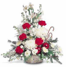 teleflora  christmas arrangement