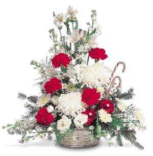 teleflora  christmas arrangement