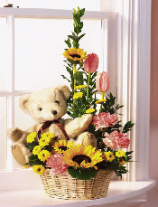 Teleflora T 41-03