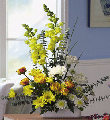 Teleflora T19-01