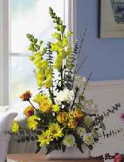 Teleflora T19-03