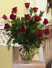 Teleflora T28-01 Dz Short Red