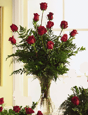 Teleflora T28-02 DZ EXTRA LONG  FANCY RED