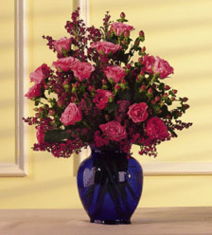 Teleflora T32-01