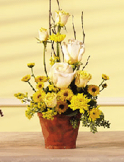 Teleflora T32-05