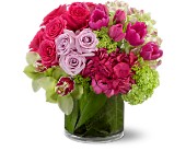 Teleflora T42-03