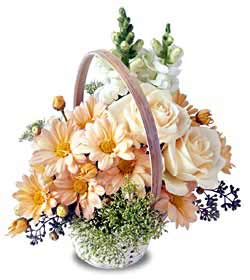 The FTD� Blushing Beauty� Basket