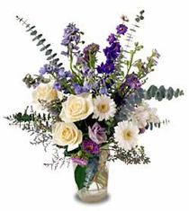 The FTD� Darling Delights� Arrangement