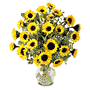 The FTD� Endless Sunflower� Bouquet