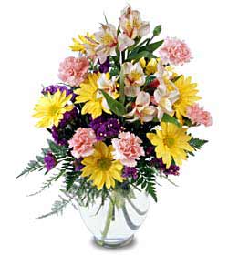 The FTD� Festive Wishes� Bouquet