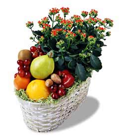 The FTD� Fruits & Flowers