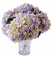 The FTD� Hydrangea Dreams� Bouquet