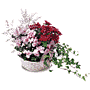 The FTD� Mum Planter Basket