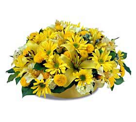 The FTD� Perfect Compliment� Bouquet