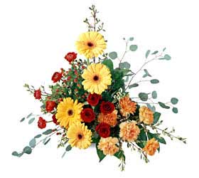 The FTD� Petals & Branches� Arrangement